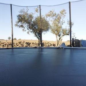 a basketball court with a net and some trees at Monte das Doceitas in Ourique +9 photos