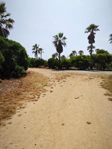 Afbeelding uit fotogalerij van Villa Plage David Bouznika in Mohammedia