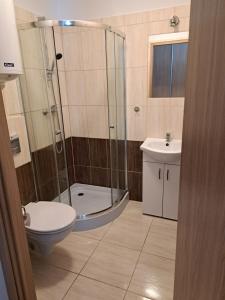 a bathroom with a shower and a toilet and a sink at Apartament Lubię Błękit in Rowy +39 photos