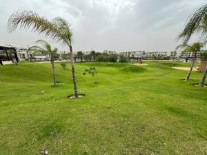 zwei Palmen auf einer Wiese in der Unterkunft Charming Luxury Apartment - New Cairo in Kairo