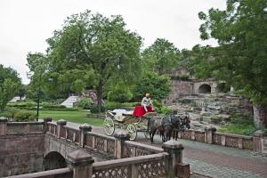 una persona montada en un carruaje tirado por caballos sobre un puente en WelcomHeritage Bal Samand Lake Palace en Jodhpur