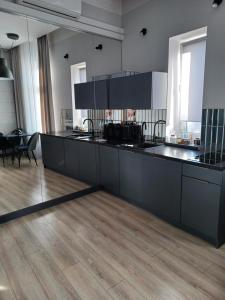Kuchyňa alebo kuchynka v ubytovaní Apartamenty "BULWAR GORZOW"