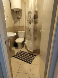 een kleine badkamer met toilet en wastafel bij Jūris in Nida +3 foto's