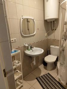 een badkamer met een wastafel, een toilet en een spiegel bij Jūris in Nida