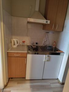 een kleine keuken met een fornuis en een spoelbak bij Jūris in Nida