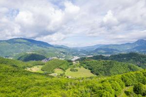 Příroda nedaleko prázdninového domu