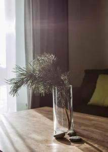 a glass vase with a plant in it on a table at Spacious cozy home and sunny terrace in Nida in Neringa