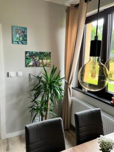 Televízia a/alebo spoločenská miestnosť v ubytovaní Apartamenty Czarna Perła