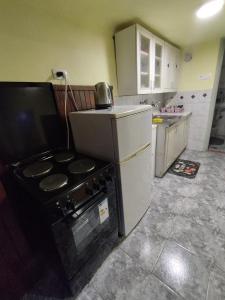 Kuchyňa alebo kuchynka v ubytovaní Heli budget condo