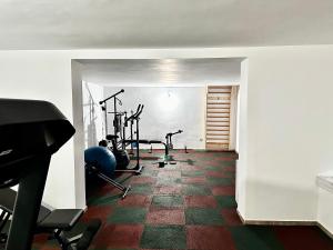 Fitness centrum a/nebo fitness zařízení v ubytování Casa Dima