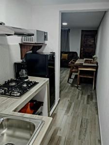 a kitchen with a sink and a stove top oven at Departamento las palapas in Zihuatanejo