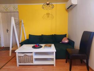 KõrgessaareViscosa külaliskorter的客厅里有一张绿色的沙发和一张桌子