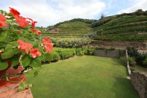 a view of a garden with red flowers at Agriturismo Buranco in Monterosso al Mare