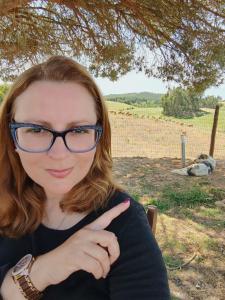 Afbeelding uit fotogalerij van Herdade Monte Novo Do Pocinho in Cercal