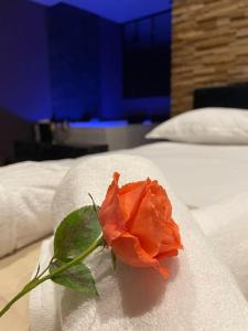 a rose sitting on top of two beds at Le Cocon des Granges - Suite Sauna Jaccuzi SPA in Bonnières-sur-Seine