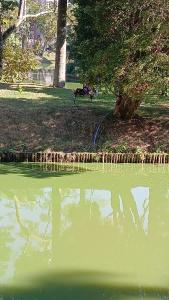 O vedere a unui râu din apropierea gazdei