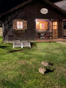 a dog laying in the grass in front of a cabin at Cabañas de Lires in Lires
