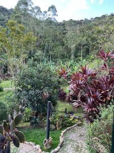 Billede fra billedgalleriet på Jardim Secreto Chalé Azaléia i Nova Friburgo