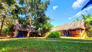 a house with a thatched roof and a yard at Canto da Coruja - ECOHOSPEDAGEM in Sao Jorge