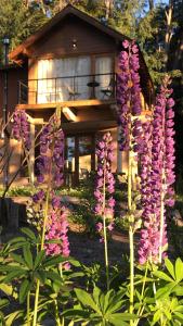 a group of purple flowers in front of a house at CasaSur- 37Robles in Villa La Angostura