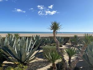 un grupo de palmeras en la playa en Villa T2 Mezzanine 5 pers, Clim, Terrasse, Parking, Proche plage et commerces - FR-1-795-16, en Fleury