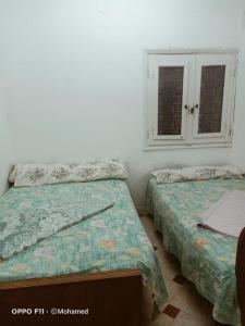 Postel nebo postele na pokoji v ubytování Ageeba Beach Chalet 16