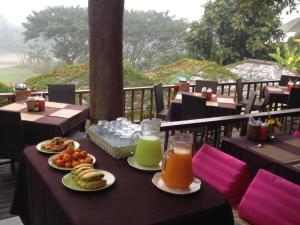 Jídlo v rezortu nebo okolí