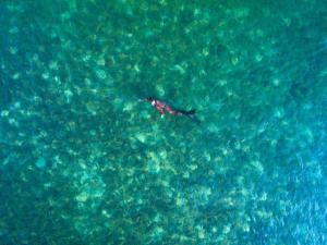 Příroda nedaleko rezortu