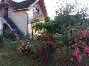A garden outside Kuca - STUDIO