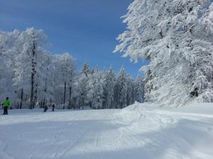 Böhmerwald Pur2 mit Sauna im Winter