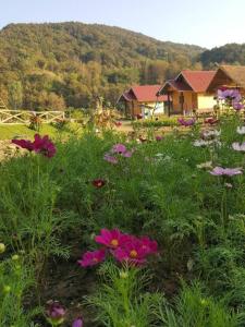 ein Blumenfeld mit einem Haus im Hintergrund in der Unterkunft Peisanae Faikeng Resort in Nan