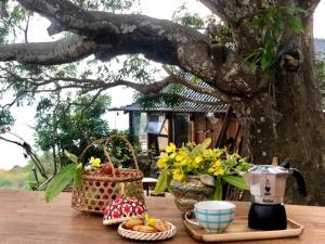 Κήπος έξω από το Mango House - Seaview - Homestay. +123 φωτογραφίες