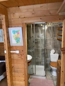 a bathroom with a shower and a toilet in a cabin at Chalet confortable au Vauclin avec piscine privée in Le Vauclin
