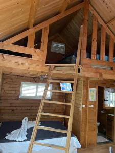 a bunk bed in a wooden cabin with a ladder at Chalet confortable au Vauclin avec piscine privée in Le Vauclin +11 photos