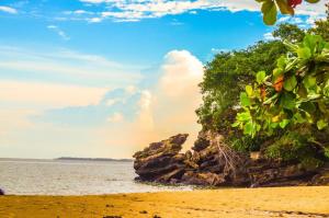 - Vistas a una playa con árboles y al océano en Bintang Hotel, en Klandasan-besar