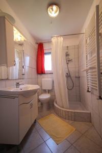 a bathroom with a sink and a shower and a toilet at Apartment Kati in Novigrad Istria