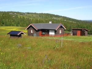 a house in the middle of a field at Hytte på fjellet, med mange turmuligheter ! in Gol