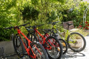 Jazda na bicykli v okolí ubytovania Apartments & rooms Stella Adriatica