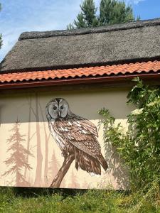 Zdjęcie z galerii obiektu Ptasia Osada w mieście Gardna Wielka