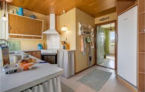 Cucina o angolo cottura di Stunning Home In Haderslev With Wifi