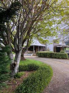 Gallery image of Parrys Cottage in Pirongia