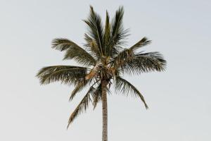 Φωτογραφία από το άλμπουμ του 2 Bedroom Unit Mooloolaba- Walk to the Beach σε Mooloolaba