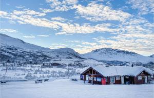 Elvebu v zimě + 21 fotografií