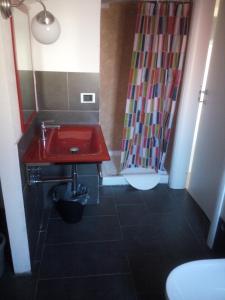 ピサにあるAlla Torre Con Vistaのバスルーム(赤いシンク、シャワー付)