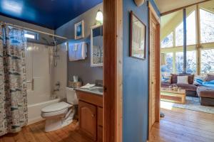 a bathroom with a toilet and a tub and a sink at Dream Sea Chalet in Yachats +32 photos