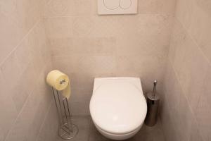 Un baño con inodoro y un rollo de papel higiénico. en Spacious 63qm Flat plus Private Balcony, en Graz 4 fotos más