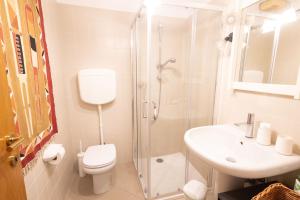 a bathroom with a shower and a toilet and a sink at Ca' Spadoni, centro storico, piano terra, ingresso indipendente, teatro, parcheggio, in Imola