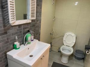 a bathroom with a white sink and a toilet at avraham B''H in Nevatim