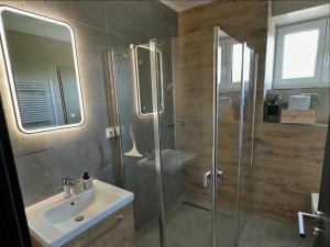 a bathroom with a glass shower and a sink at ApartmanyVrbno Aktiv in Bruntál +18 photos