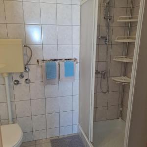 Koupelna v ubytování Apartments Cecilija
